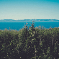 正规可靠的小黑ddos压力测试平台